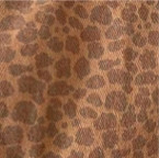 brown leopard